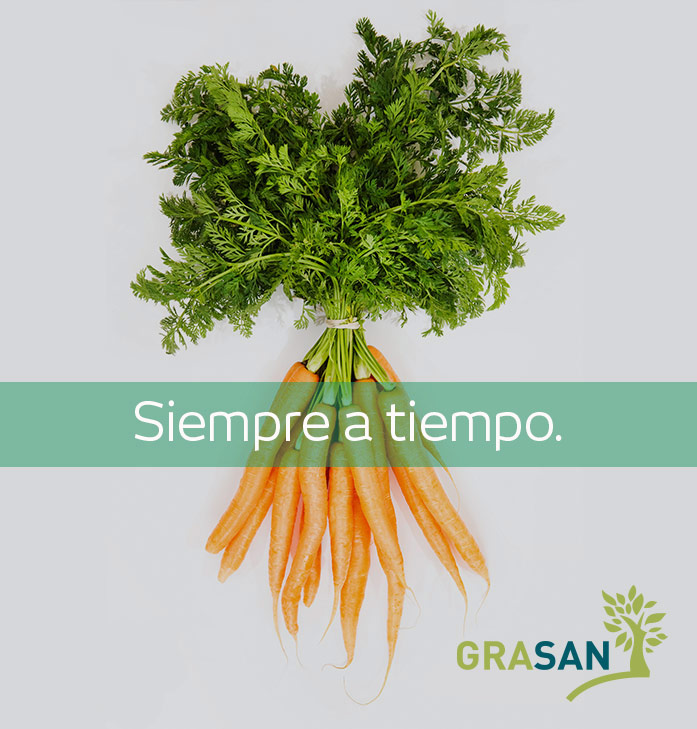 Fruta y Verdura en Monterrey y Saltillo