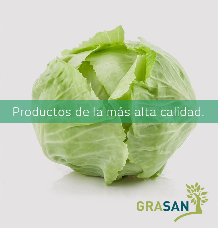 Frutas de Calidad