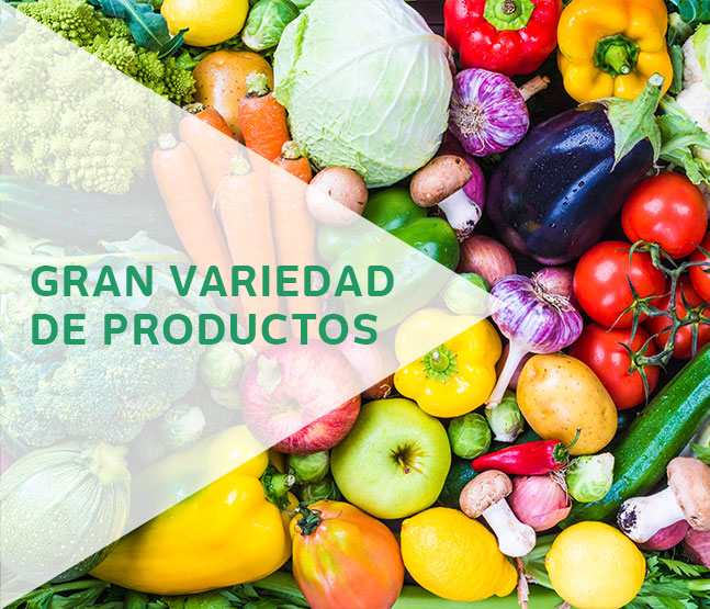Naranjas y Uvas